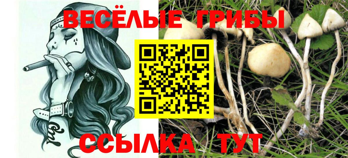 Псилоцибиновые грибы Psilocybine cubensis  Вход с VPN  Псилоцибиновые грибы мухоморы  Миасс 