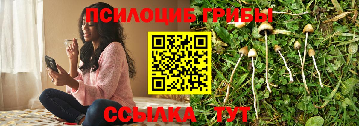Псилоцибиновые грибы Psilocybe  Псилоцибиновые грибы ЛСД  Миасс 