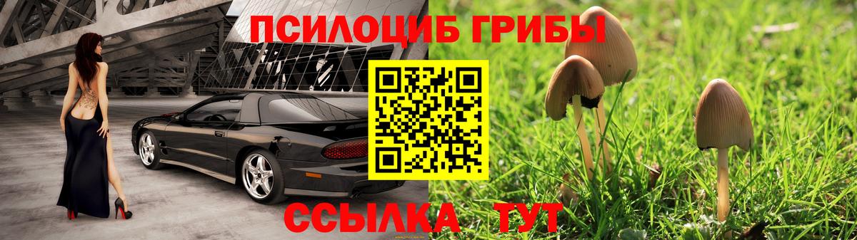 Псилоцибиновые грибы GOLDEN TEACHER Миасс